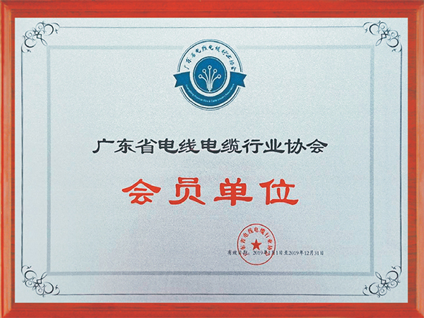 泰安财政局强化财金联动助力工业经济高质量发展