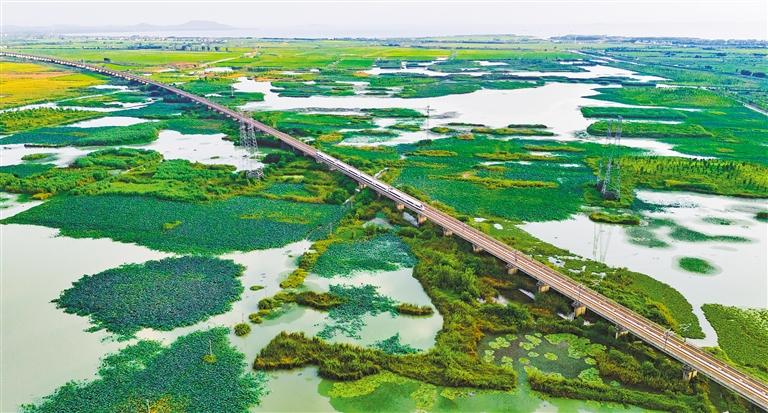 第七届基层党建创新典型案例推荐展示